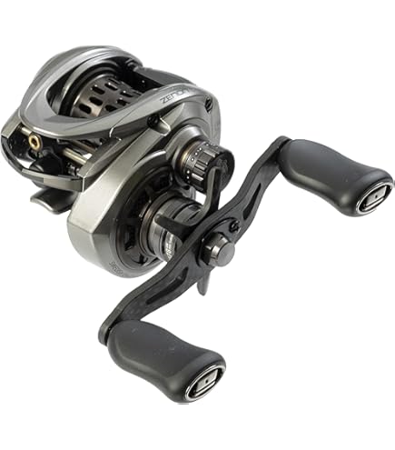 Amazon | AbuGarcia (アブガルシア) Roxani BC BF7-L ロキサーニ 24年