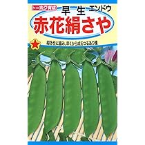 Amazon | 株式会社トーホク 早生赤花絹さやえんどう 06391 [並行輸入品