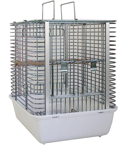 Amazon.co.jp: ホーエー HOEI 465パラキート ブラック : Pet