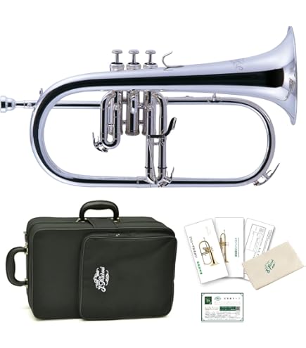 Amazon | Denis Wick DW5884-SFL シルバーメッキ フリューゲルホルン