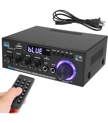 massive OE-L12 モノラルパワーアンプ オースミ電機 Amazon.co.jp