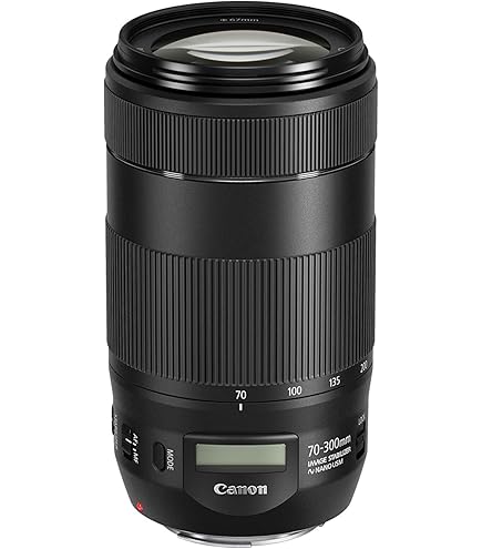 Amazon.co.jp: TAMRON 超広角ズームレンズ SP AF10-24mm F3.5-4.5 DiII