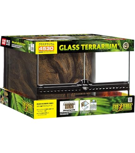 Amazon | GEX EXOTERRA フトアゴヒゲトカゲ&リクガメ飼育キットBK
