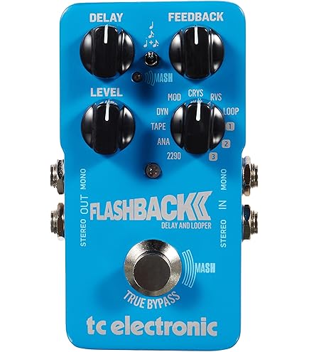 Amazon | tc electronic Flash Back DELAY & LOOPER ギター