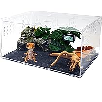 81S3Mmnae-L._AC_UL210_SR210,