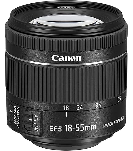 Amazon.co.jp: Canon Telephoto Zoom Lens EF-S 2.2–9.8 inches (55