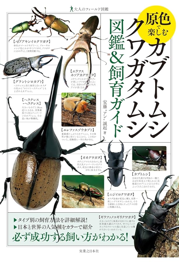 Amazon.co.jp: 世界のクワガタ大図鑑: クワガタムシ150種カブトムシ15