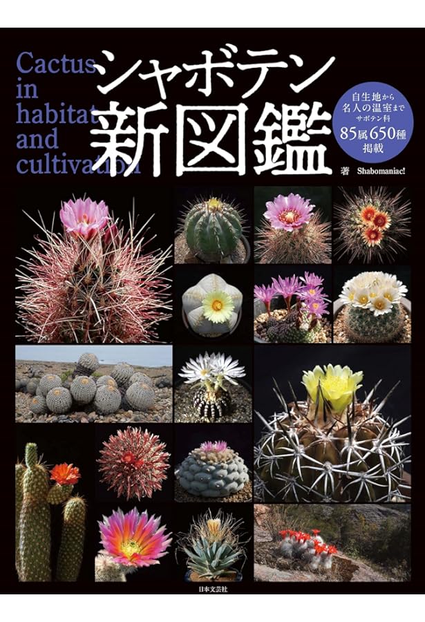 サボテン全書 All about CACTUS | パワポン・スパナンタナーノン, 飯島