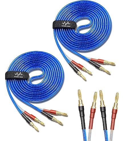 Amazon | ZONOTONE 6NSP-Granster 2200α 2本ペア ベリリウム銅製