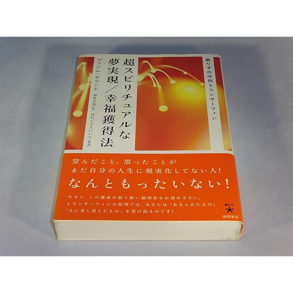 リアリティ・トランサーフィン 2: 願望実現の法則 | ヴァジム