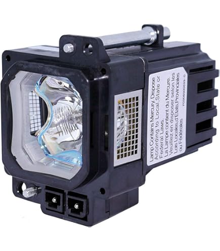 Amazon.com: IET Lamps Genuine OEM Replacement Lamp for JVC DLA