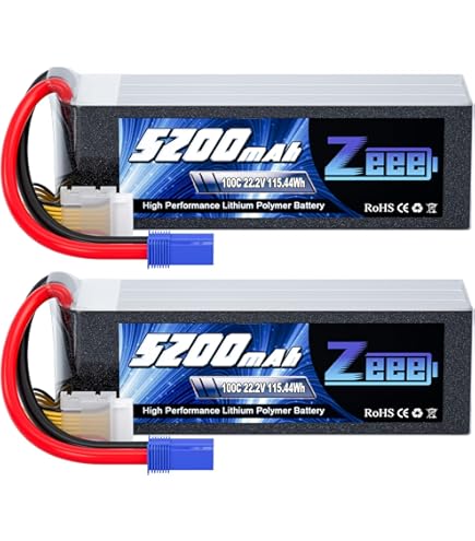 Amazon.com: Zeee 6S Lipo Battery 5000mAh 22.2V 120C Hard Case RC