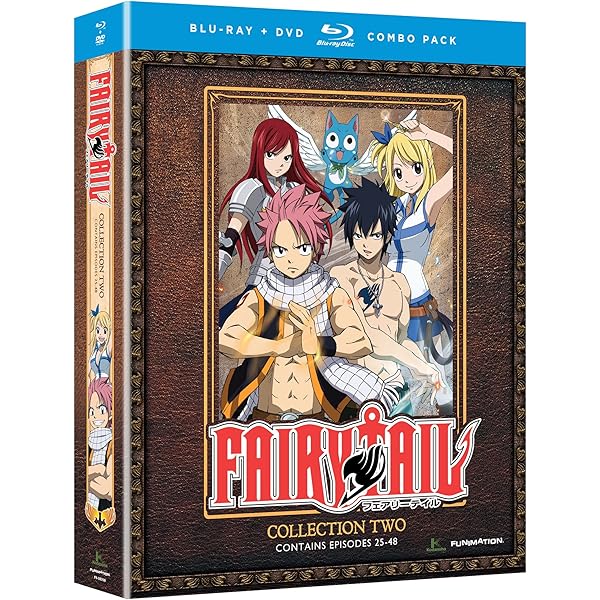 FAIRY TAIL 3 [DVD]: Amazon.ca: Movies & TV Shows