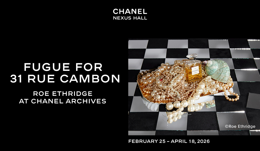 由良薫子 「近視動物園」 （水犀） ｜Tokyo Art Beat