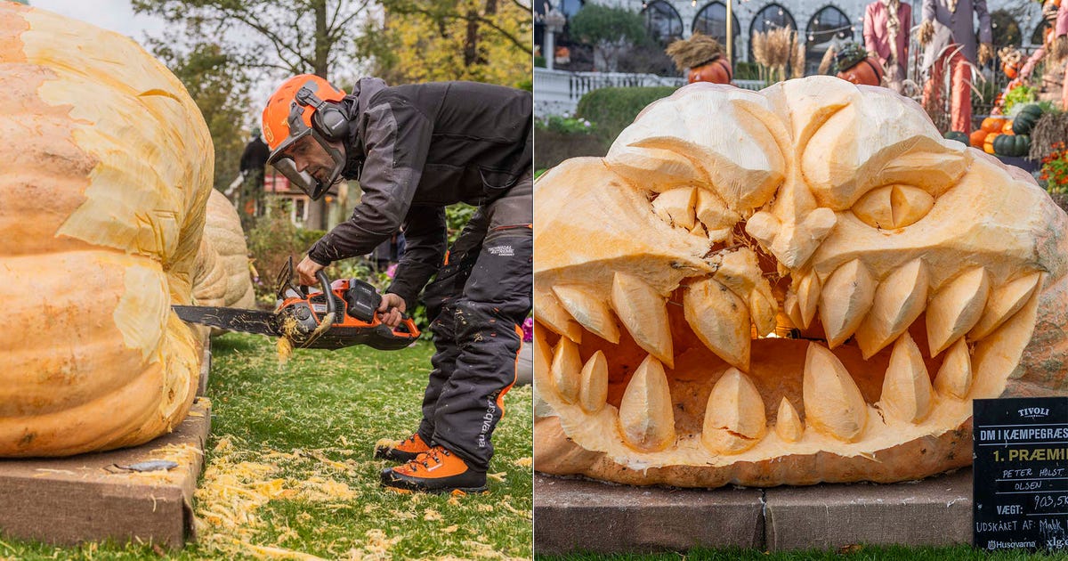 pumpkin-bkgd.jpg?ve=1&tl=1