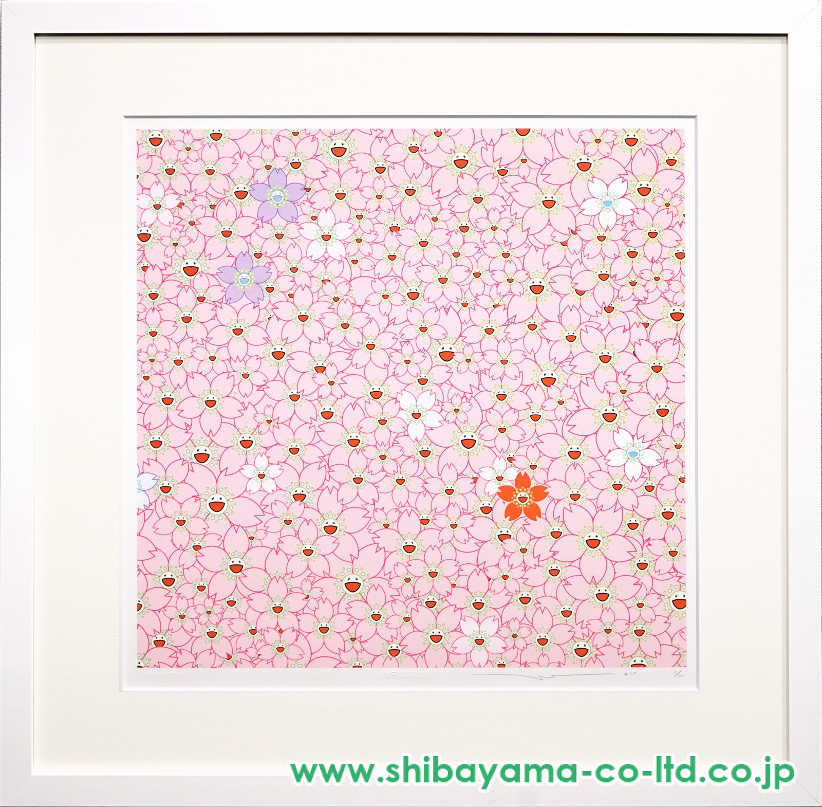 16907_784be800c1457dfbf454f0e2