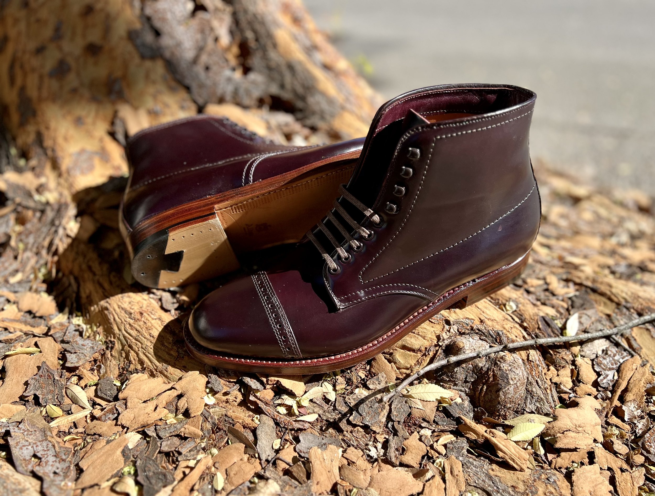 yard.jpg?format=1000w