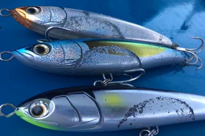 Maria 】青物プラグ ラピード、ボア、ローデッドなど【カルティバ】撃