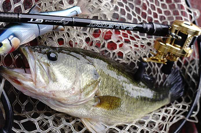 22カルカッタコンクエストXGは“掟破りの化け物リール”でした