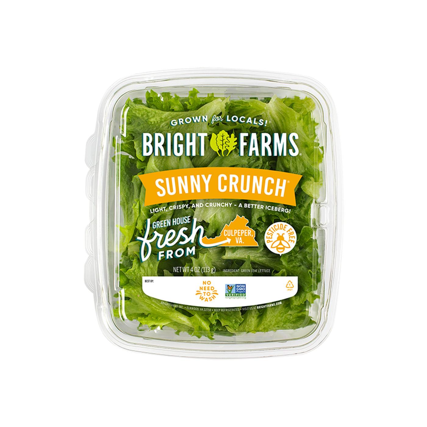 Get BrightFarms Sunny Crunch Lettuce Delivered | Misfits Market