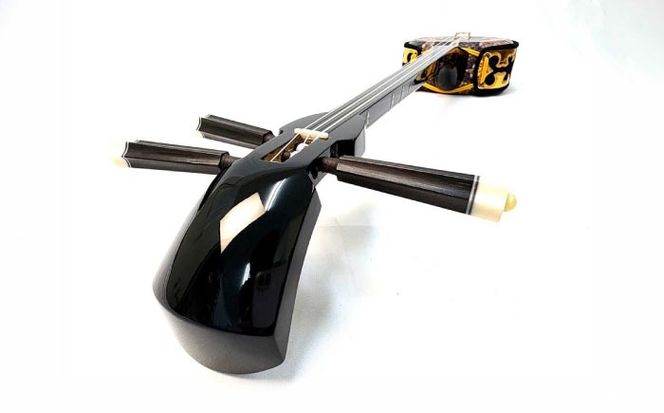 池武当新垣三線店 本蛇皮強化張り三線初心者セット 三線 さんしん