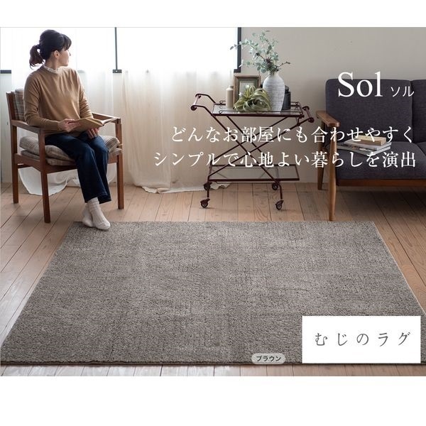スミノエ ソル ラグ カーペット 洗える 国産 アレルブロック 無地