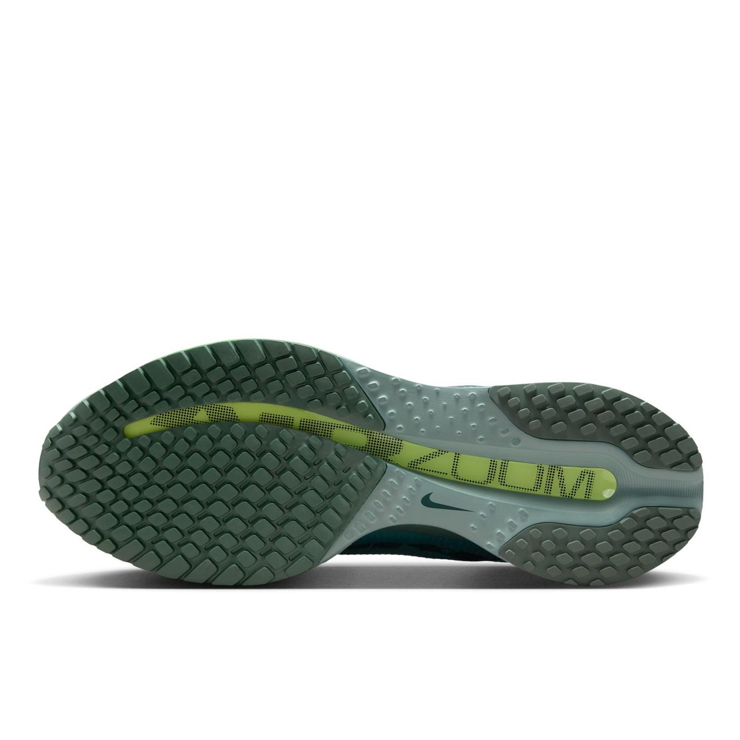 NIKE 【トライオンキャンペーン対象品】 Pegasus Premium｜OSHMAN'S