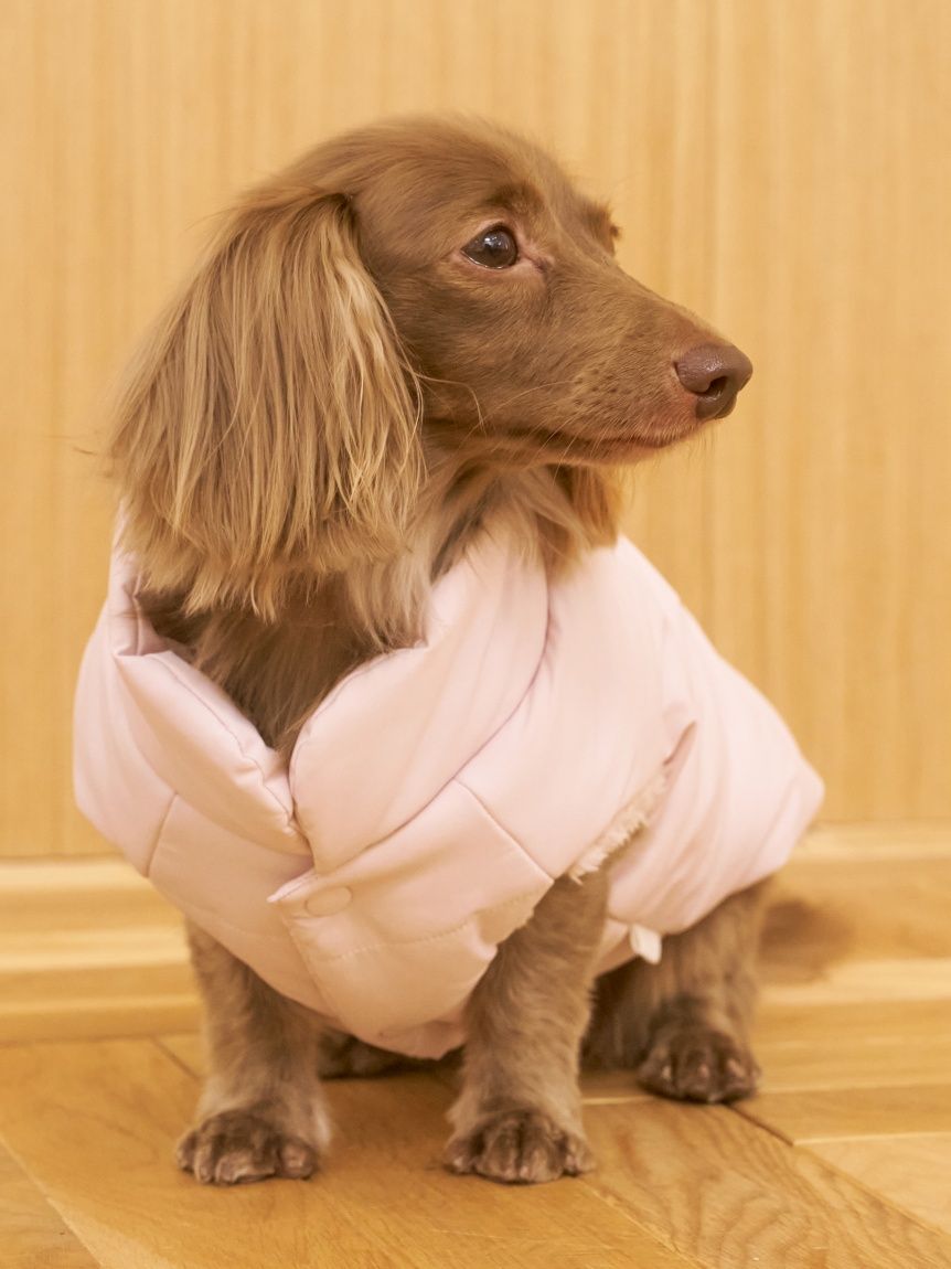 CAT&DOG】中綿ベスト(ウェア)｜ルームウェア・パジャマ通販の