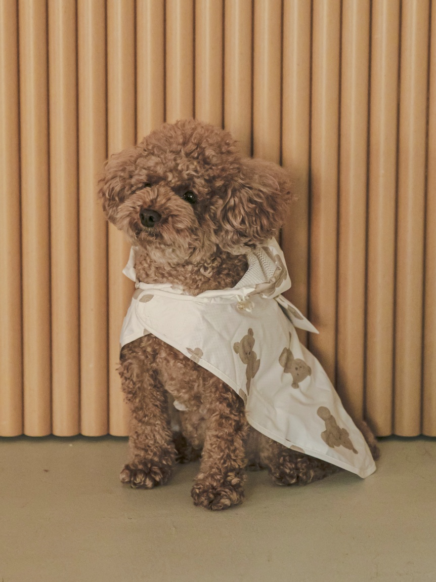 CAT&DOG】レインポンチョ(ウェア)｜ルームウェア・パジャマ通販の