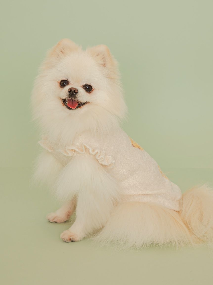 CAT&DOG】フルーツジャガードプルオーバー(ウェア)｜ルームウェア