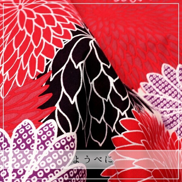 浴衣 レディース （ ゆかた / 大人 / 浴衣単品 ）【麗しの菊づくし