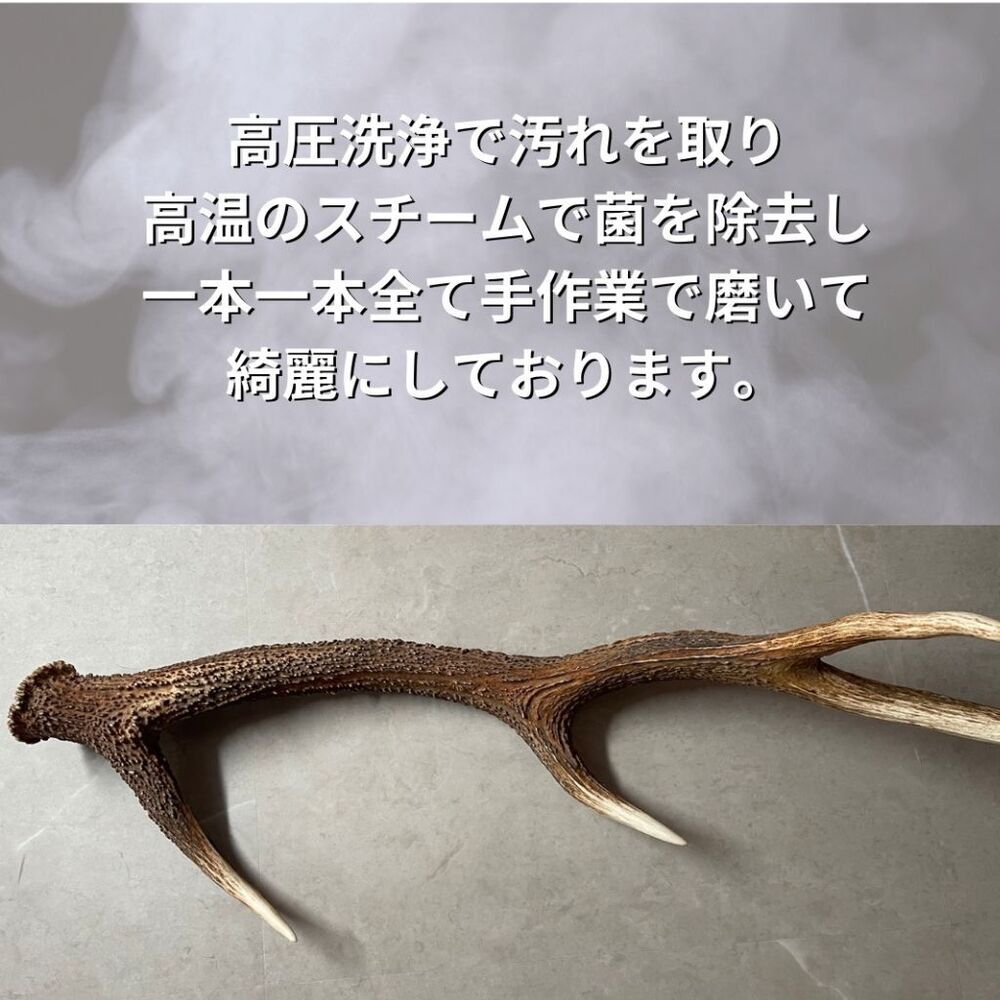 無添加品】鹿の角 15センチ 半割り☆ 北海道産 道産 犬のおもちゃ 蝦夷