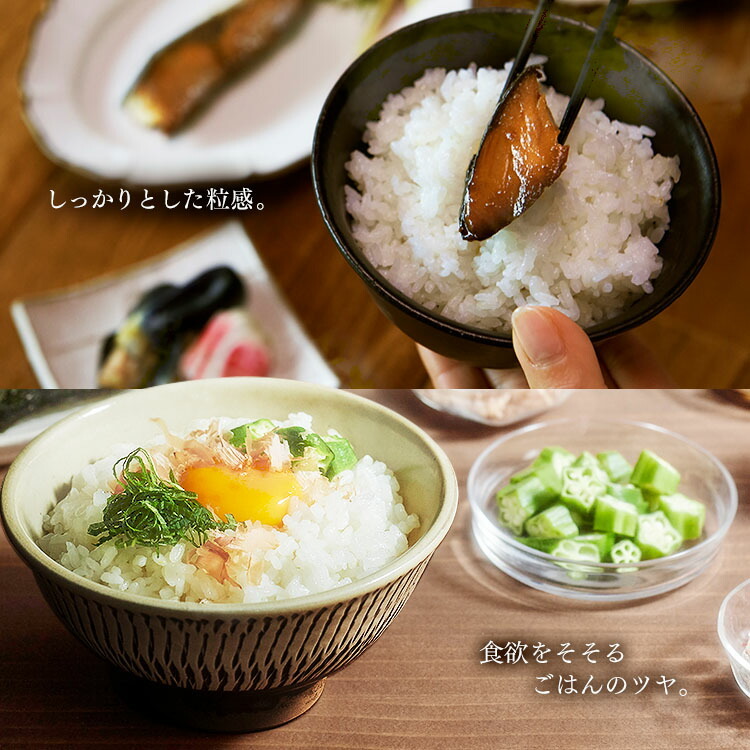 公式】炊飯器 1升 圧力ih 10合 圧力IH炊飯器 ジャー炊飯器 RC-PD10-B