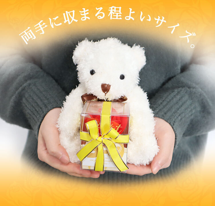 即日対応可＞ ぬいぐるみ テディベア 【 HugHug テディ ＋ フラワー