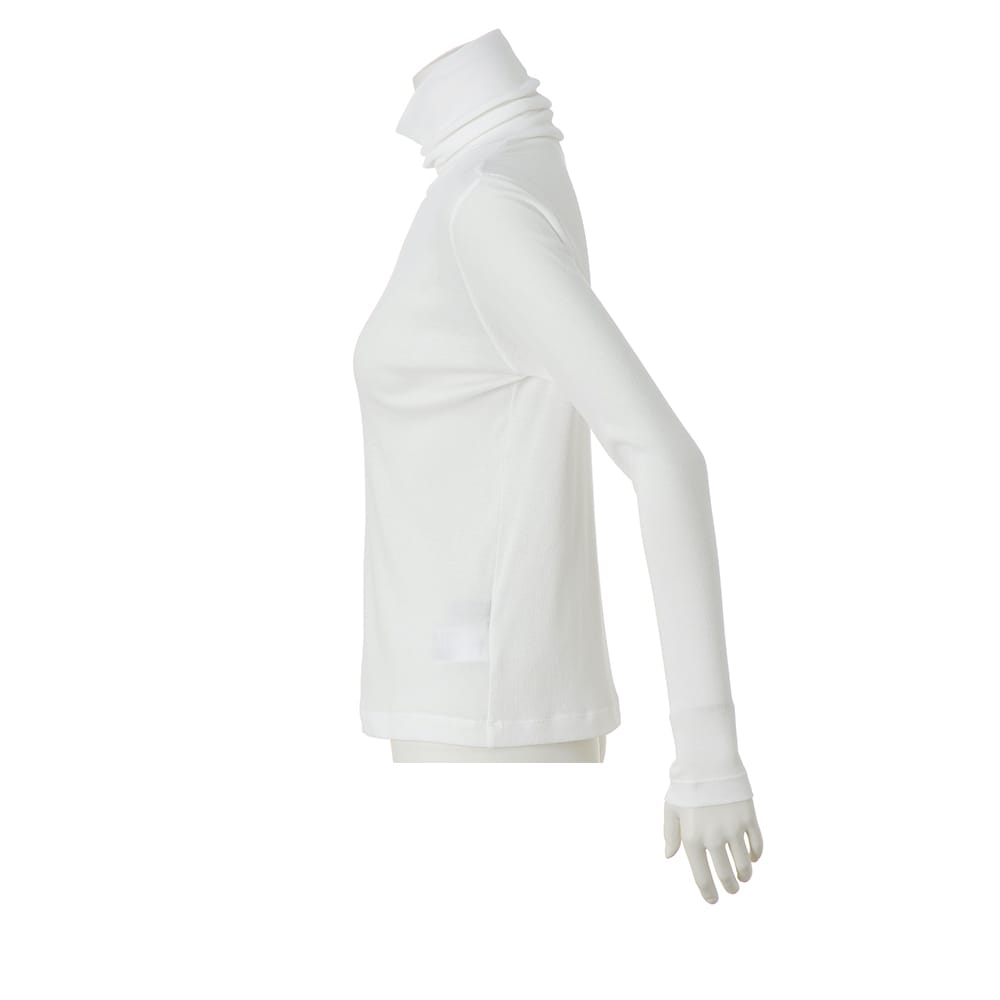 強撚コットン タートルネックプルオーバー 通販 - ディノス