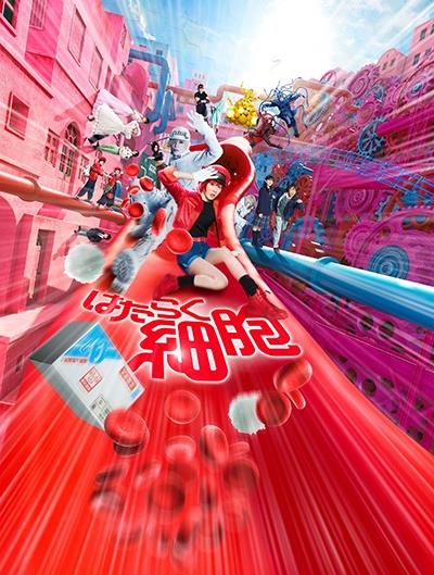 はたらく細胞 | 宅配DVDレンタルのTSUTAYA DISCAS