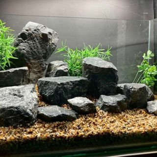 2090516814.jpg?1700036685