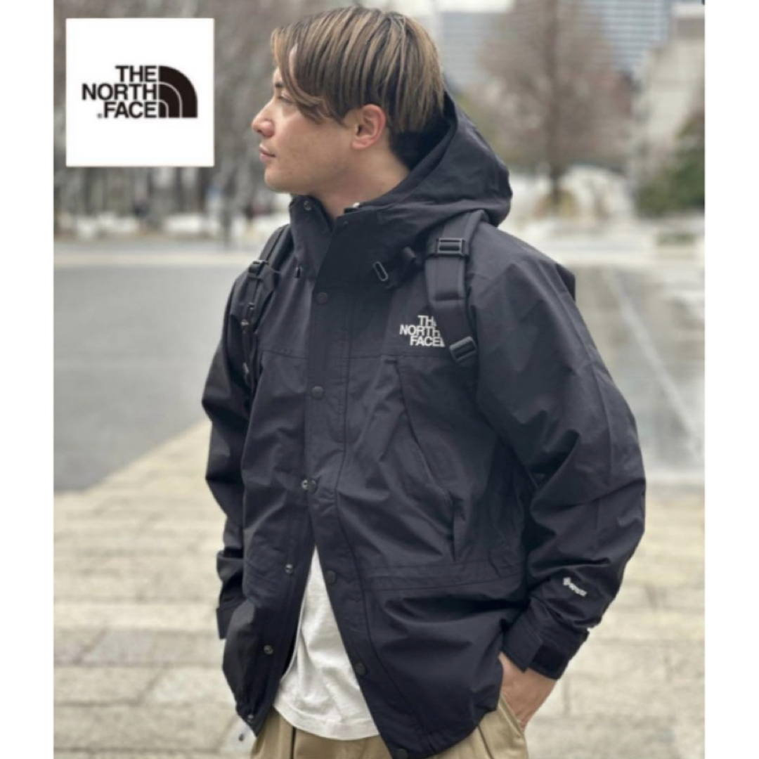 THE NORTH FACE - 【国内正規品】ノースフェイス マウンテンライト