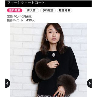 Apuweiser-riche（毛皮⁄ファーコート）のフリマアイテム一覧 送込超美