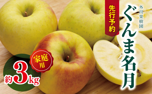 家庭用 ぐんま名月 約3kg 【2026年先行予約】 ｜ 外川果樹園 リンゴ