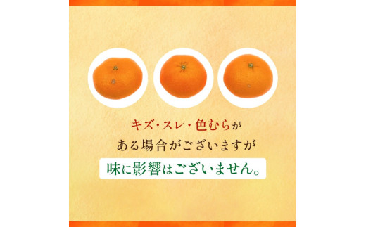 甘平 L～3Lサイズ 2.5kg みきゃん箱入【フジ・アグリフーズ かんぺい
