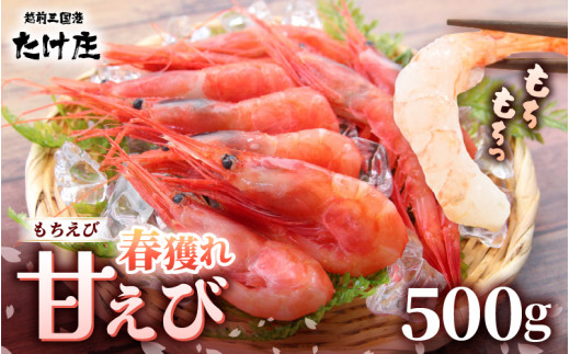 先行予約 2026年4月より順次発送予定】甘えび（もちえび）500g × 1袋