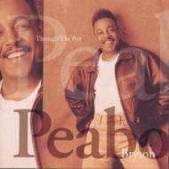 Through The Fire : Peabo Bryson | HMV&BOOKS online - SRCS-6820