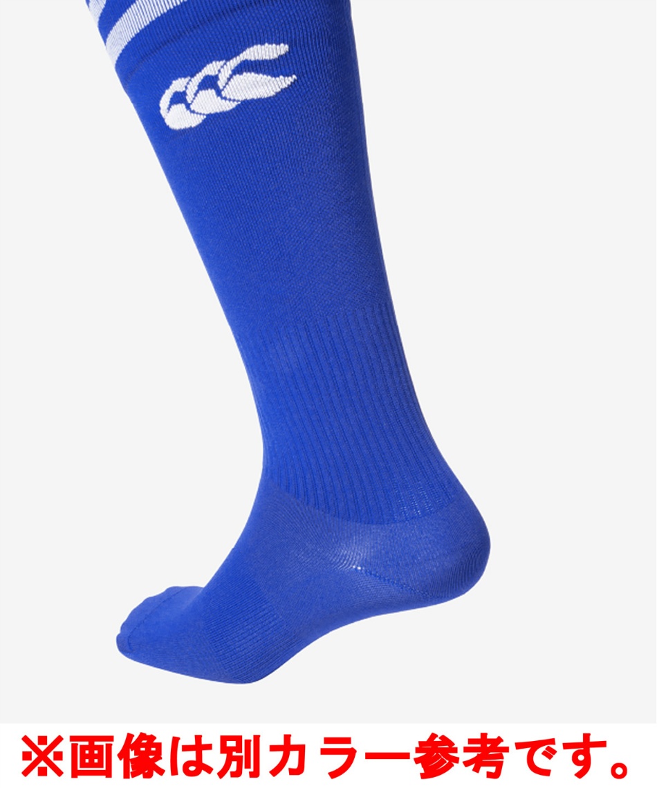ラグビー ストッキング2ラインストッキングAS04054 | スポーツ用品なら
