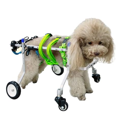 柴犬4輪！リハビリ!食事補助!犬用車椅子!介護用!犬の歩行器！ 【公式通販】