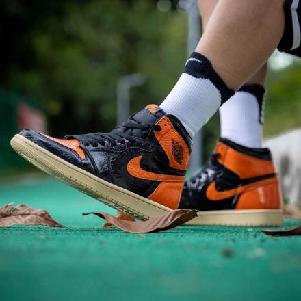 2019年に発売された