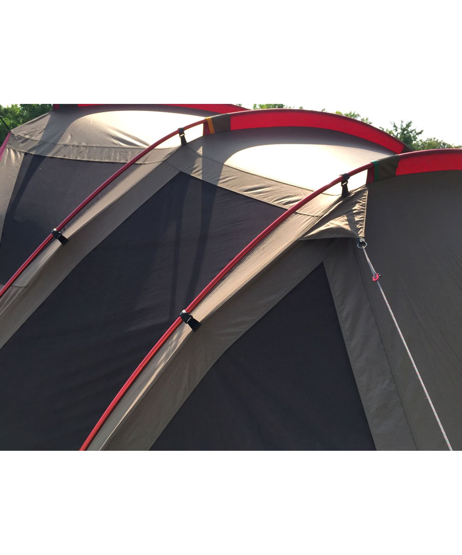 ポイントギフト】リビングシェルロングPro.フレームセット