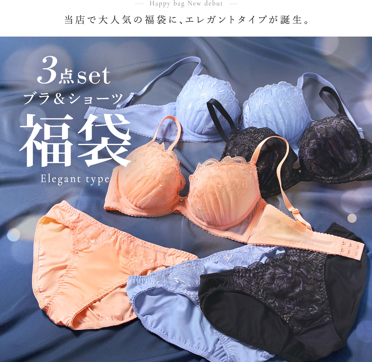 ブラジャー ショーツ セット 3点 福袋 エレガントタイプ おまかせ 刺繍
