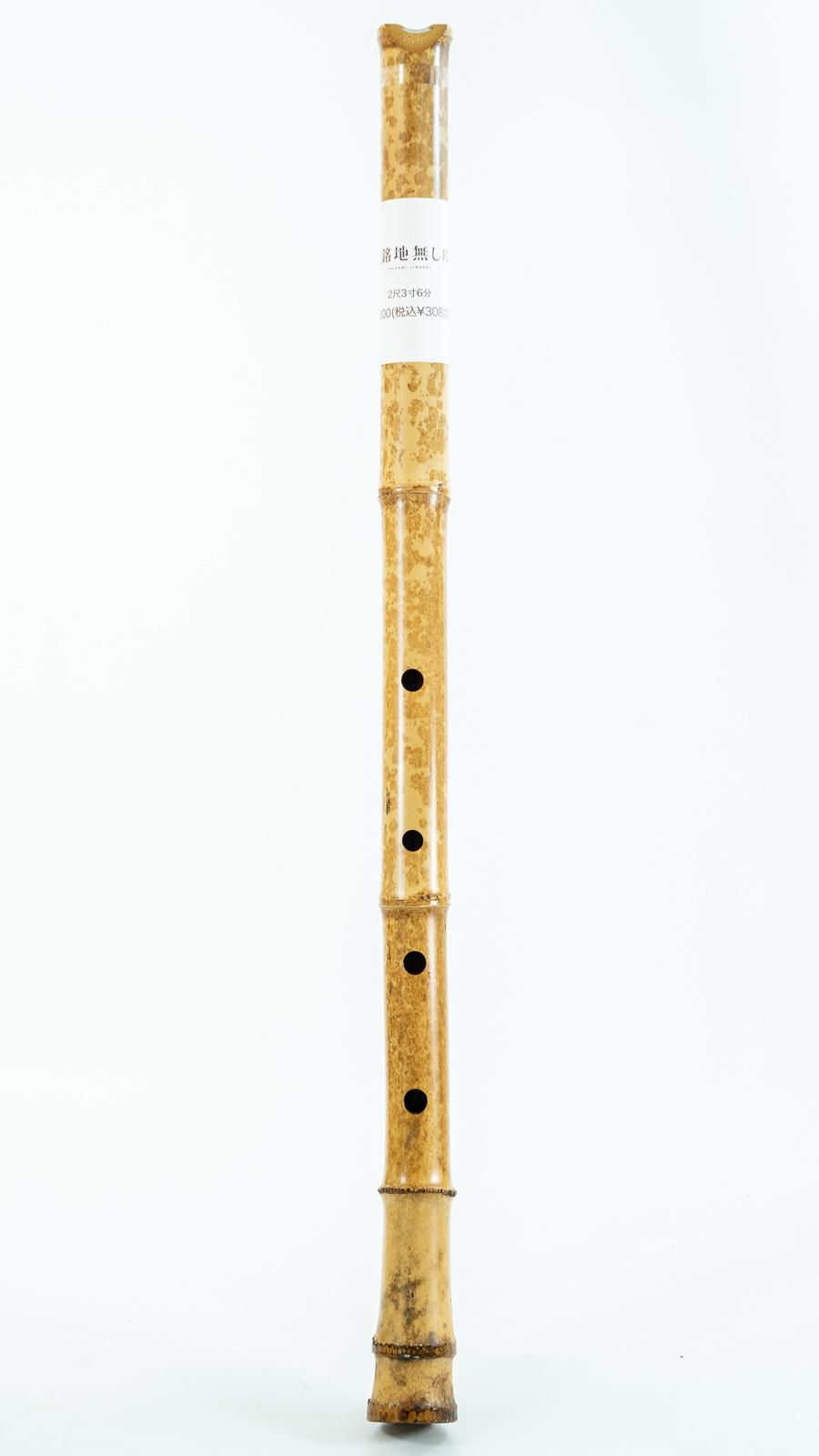 池上銘地無し尺八2尺3寸6分 - 泉州尺八工房＆TAKE 1 WEB SHOP