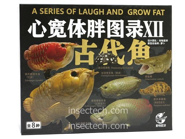 動物の惑星】「シークレット」アジアアロワナ（藍底過背金龍